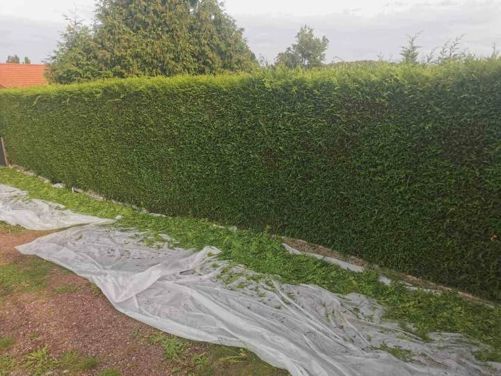 Entretien de jardin Lillers